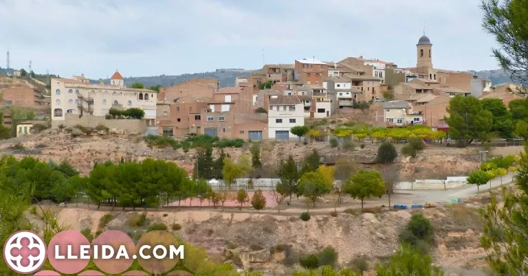 Paisatges de l'Oli a Bovera: un viatge entre oliveres centenàries i la història viva de les Garrigues