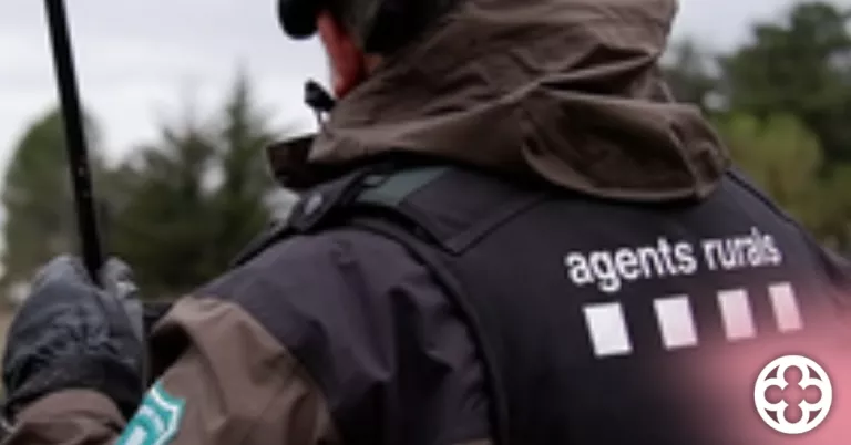 Unió de Pagesos reclama vehicles equipats pels Agents Rurals per a la gestió de les sobrepoblacions de fauna salvatge