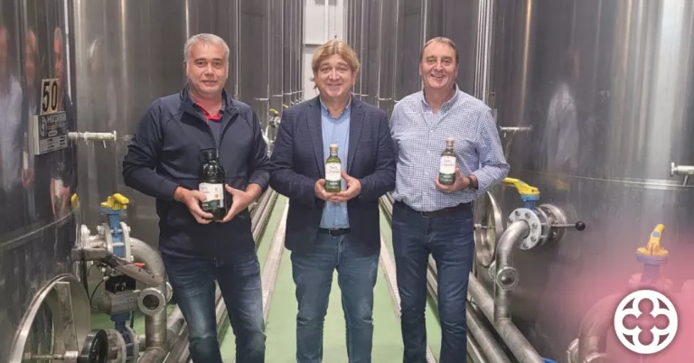 La Fira de l'Oli Verd de Maials aplegarà un centenar d'expositors i espera vendre més de 10.000 litres d'oli