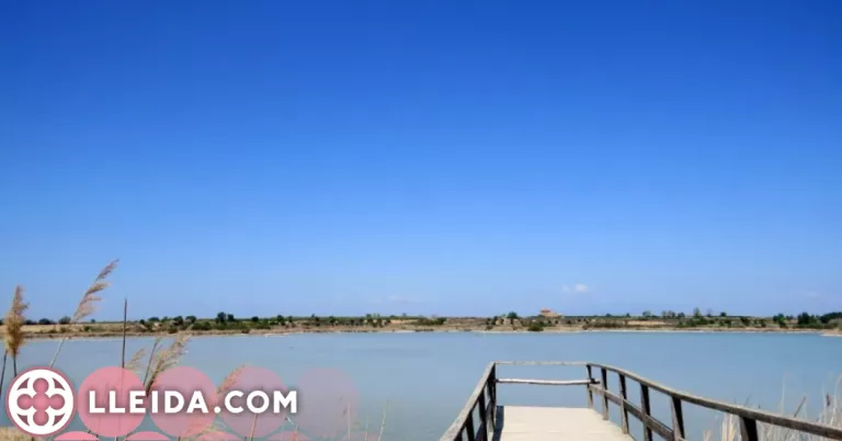 L'Estany d'Ivars i Vila-sana: una reserva natural al cor de la plana d'Urgell