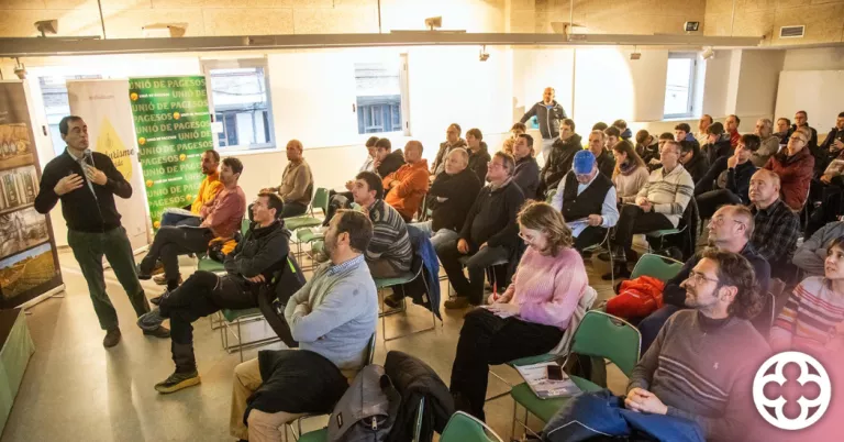 La Fira de l’Oli d’Oliva Verge Extra de Catalunya aposta per la sostenibilitat i la resiliència davant el canvi climàtic