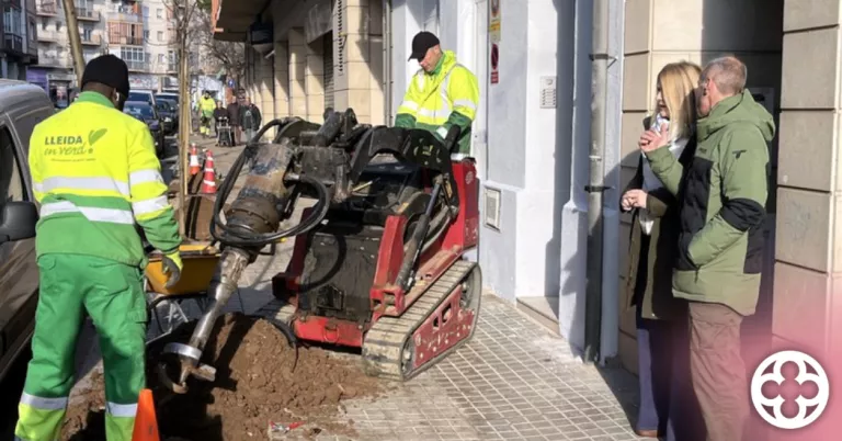 Lleida inicia la plantació de 400 arbres als carrers dels barris per reforçar el verd urbà i adaptar-se al canvi climàtic