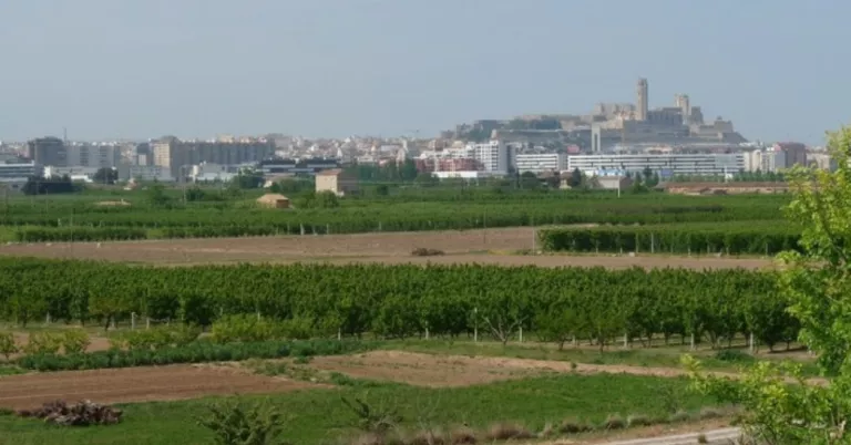 Lleida ampliarà a gairebé 300 les càmeres de seguretat per reforçar la vigilància