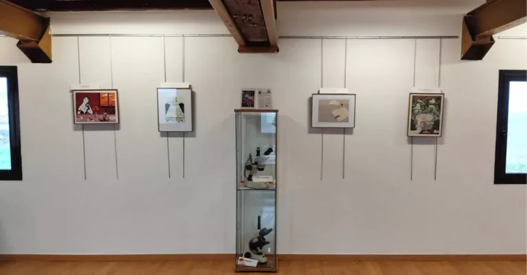 Les 17 obres del Premi d’Il·lustració del Segrià s’exposen al Museu de l’Evolució