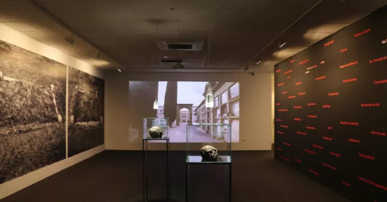 La mostra col·laborativa entre La Panera i el museu Morera nominada pel seu comissariat