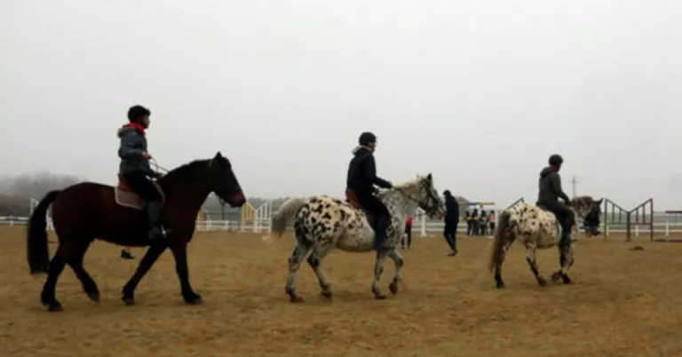 L’Institut Mollerussa prepara una jornada de portes obertes amb activitats dinamitzades pels estudiants