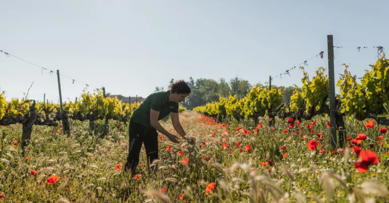 Uns 300 científics internacionals faran parada a Lleida durant la trobada agrícola europea