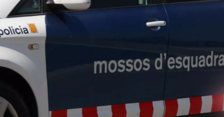 Detenen una parella al Segrià i la Selva per sostreure els seus fills d'un centre de protecció