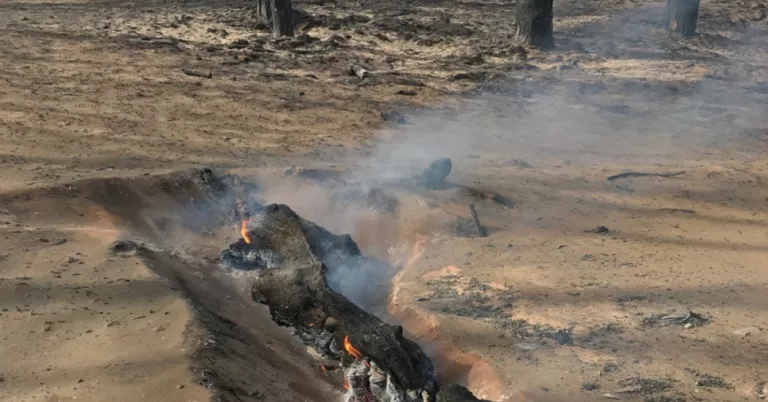 Un estudi de la UdL assegura que ampliar les àrees protegides incrementa el risc d’exposició als incendis