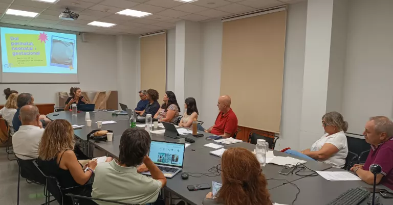 Les alcaldies del Pla d’Urgell recolliran dades per demostrar la falta de cobertura mèdica