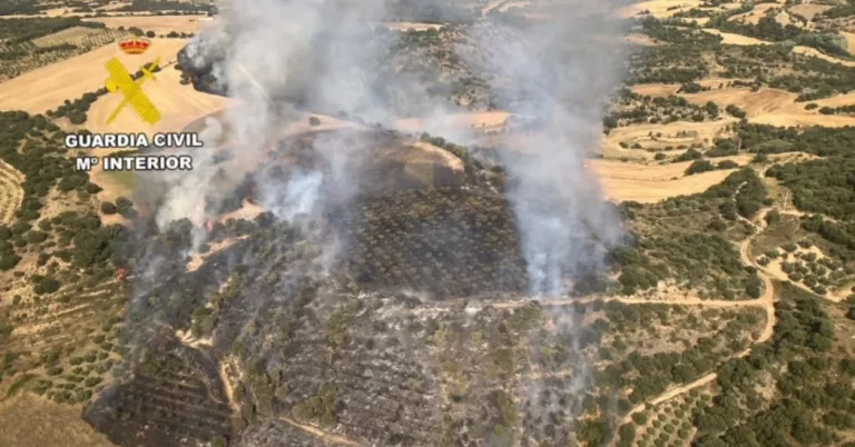 Investiguen tres veïns de Lleida per provocar un incendi forestal a Osca