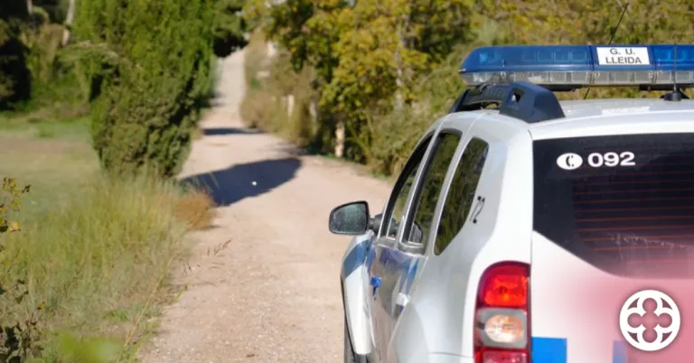 Quatre detinguts per robatoris a l’Horta de Lleida