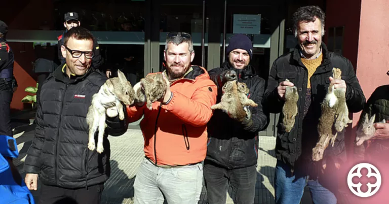 Agricultors de Ponent citats a declarar per suposats maltractaments a conills durant una protesta