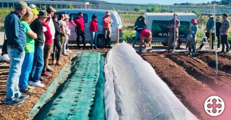 Curs de producció d’horta biointensiva i regenerativa a Lleida