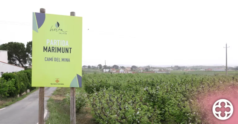 ⏯️ L'Horta de Lleida vol "càstigs efectius" contra els lladres i reincidents