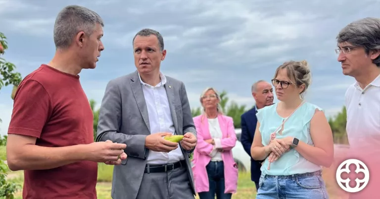 La pedregada de dimarts afecta més de 750 hectàrees de fruita al Segrià, Garrigues i Pla d'Urgell