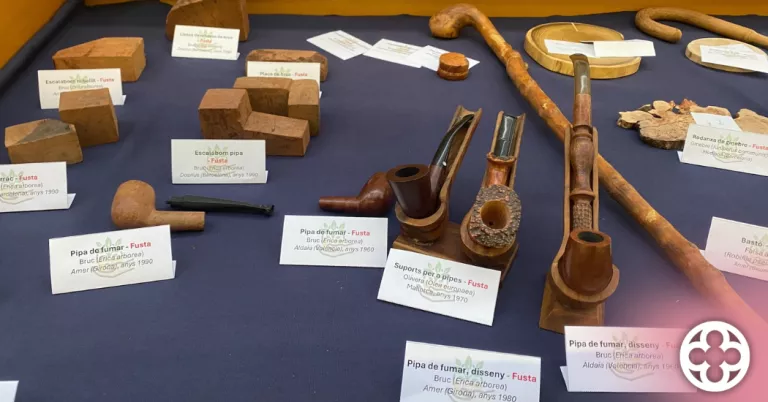Una exposició etnobotànica a la UdL reivindica l'artesania i les tradicions populars amb plantes