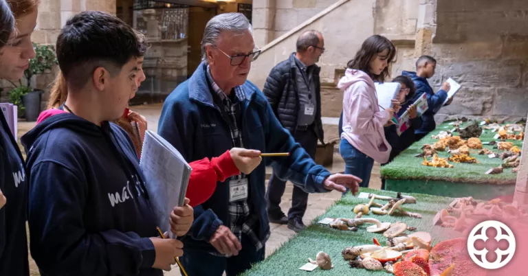 Rècord d'espècies a la 34 exposició de bolets de tardor de l'IEI