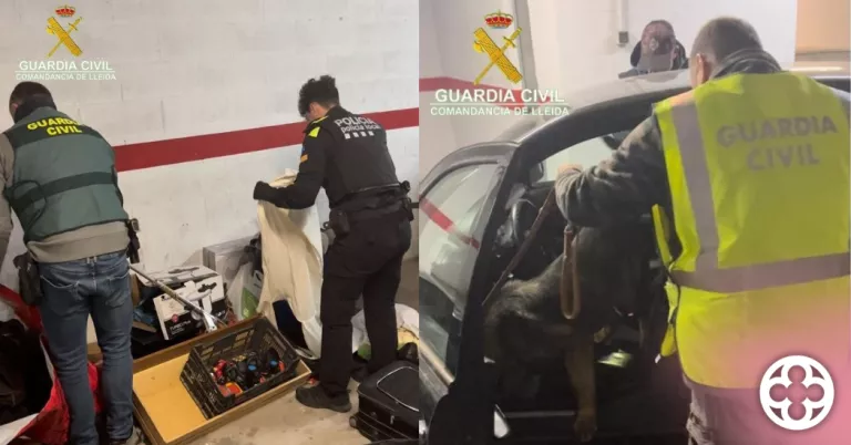 Cinc detinguts per delictes contra la salut pública i organització criminal a Almacelles