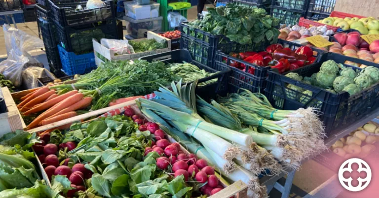 El dissabte es celebrarà el Mercat dels Barris del Nord, tot i ser festiu
