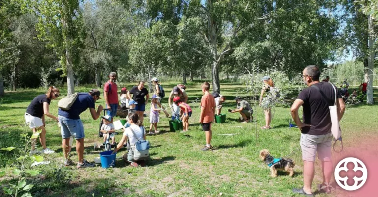 Matí de Jocs Refrescants a La Mitjana per a infants i famílies