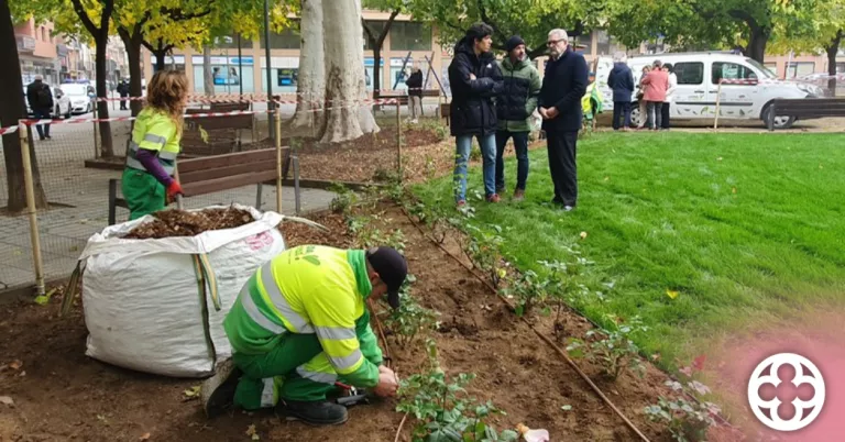 Lleida es prepara per a la plantació de 650 nous arbres i la millora d'espais verds