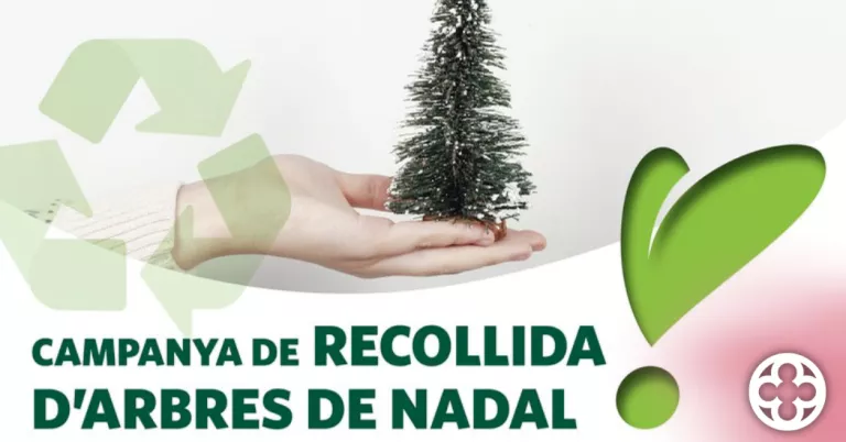 Lleida posa en marxa el servei de recollida d'arbres de Nadal per convertir-los en compost