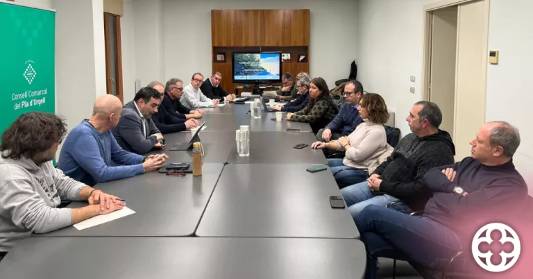 La Diputació de Lleida inicia reunions amb els Consells Comarcals per presentar el Pla Zonal