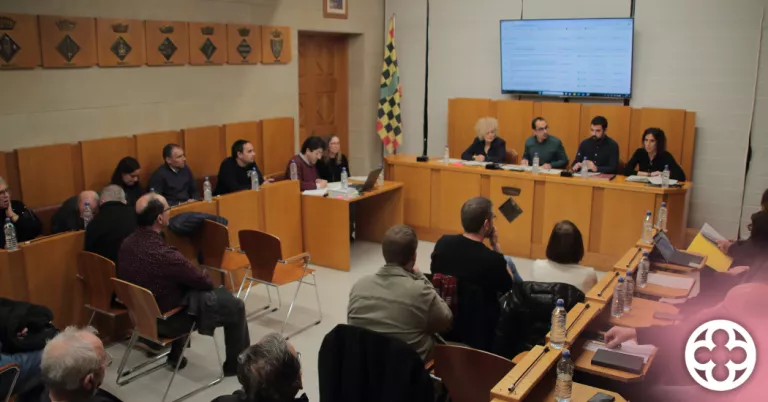 El Consell de l'Urgell aprova un pressupost de més de 10 milions d'euros