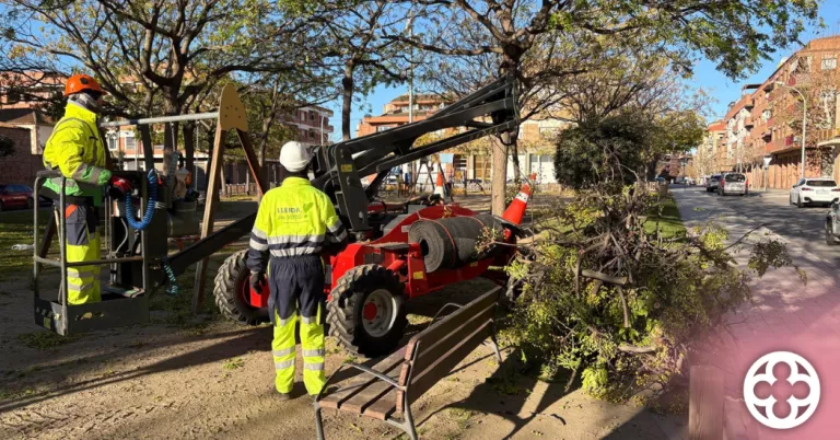 Lleida inicia la campanya d’esporga d’hivern en més de 5.000 arbres
