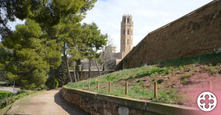Recta final del projecte de renaturalització de la Seu Vella
