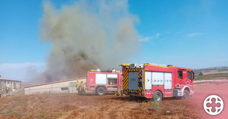Un incendi en una granja de porcs de Seròs afecta 200 truges i 1.000 garrins