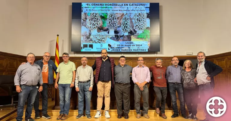 La XXVI Mostra de Bolets de Primavera de les Terres de Lleida exposa a l'IEI una setantena d'espècies