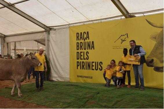 Set premis del concurs de raça bruna per a una granja d’Aran