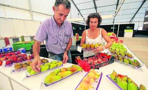 Sant Miquel obre amb perspectives positives pel bon any de la fruita