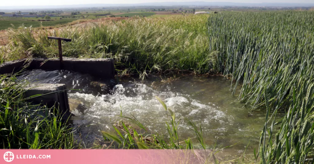 ⏯️ Últims regs del canal d'Urgell, un tancament històric amb perspectives "molt dolentes"