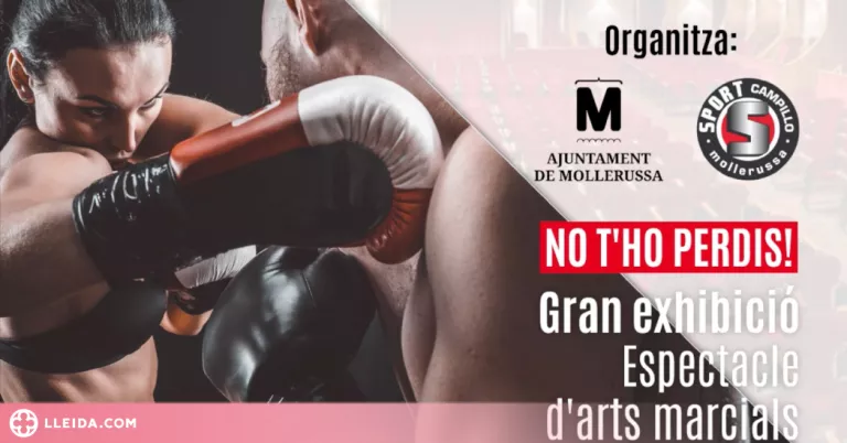 Exhibició d’arts marcials a Mollerussa amb participants d’arreu del món