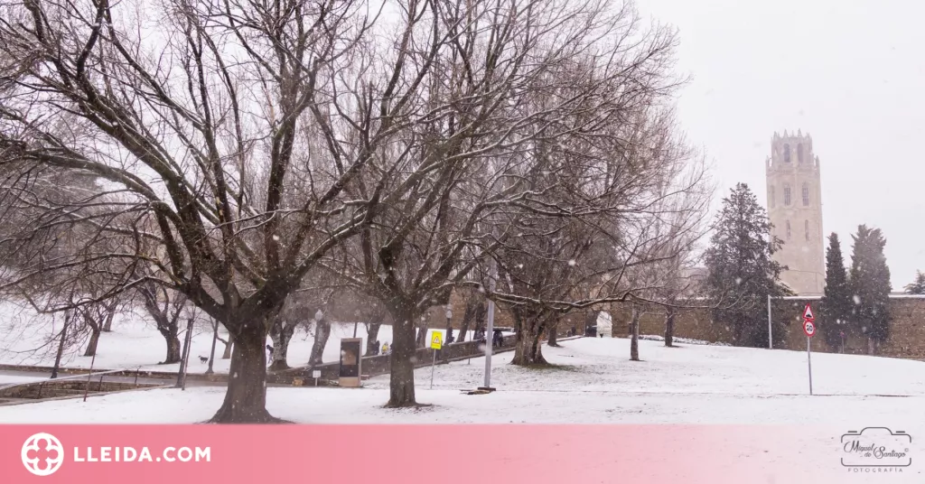 ⏯️ Consells per protegir-nos de nevades i glaçades