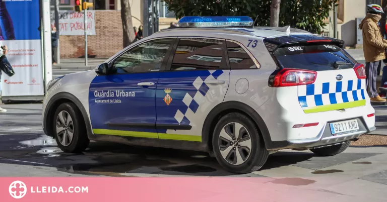 Detingut per agredir la seva mare, de 61 anys, a Lleida