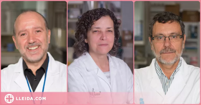 Tres investigadors de l'IRBLleida, entre els més citats al món