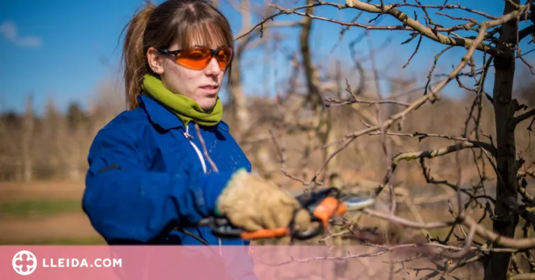 Les dones representen el 40% de les persones que treballen al sector agroalimentari