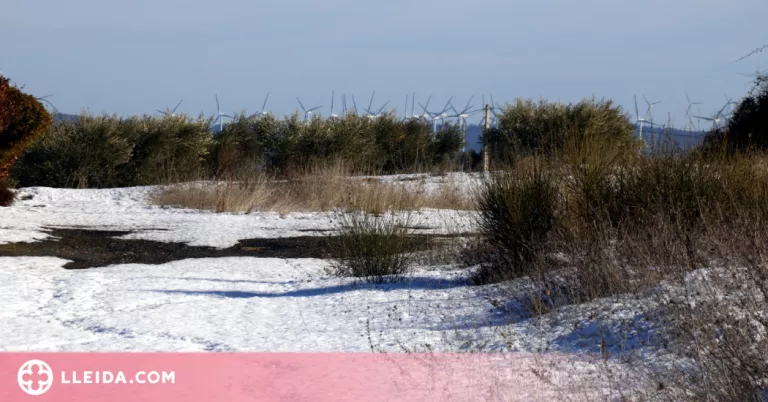 La DOP Les Garrigues, contra la "massificació indiscriminada" de centrals eòliques i solars