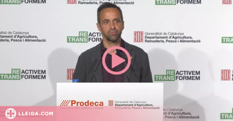 ⏯️ Les exportacions catalanes marquen un nou rècord malgrat la covid-19