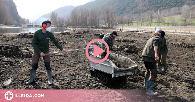 ⏯️ Una dècada lluitant contra una planta aquàtica invasora a l'embassament de la Torrassa