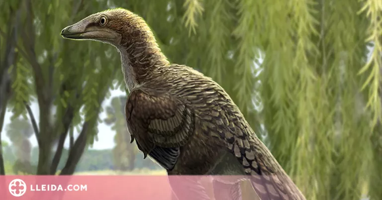 Uns fòssils del Pallars Jussà permeten identificar un dinosaure fins ara desconegut a Europa