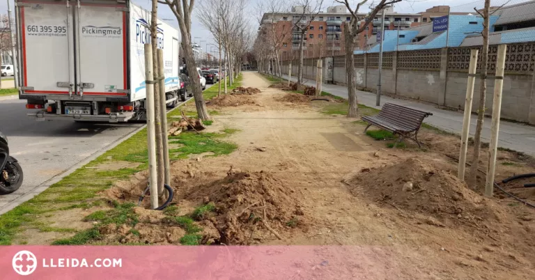Comença la replantació d’arbres a Pardinyes i Balàfia