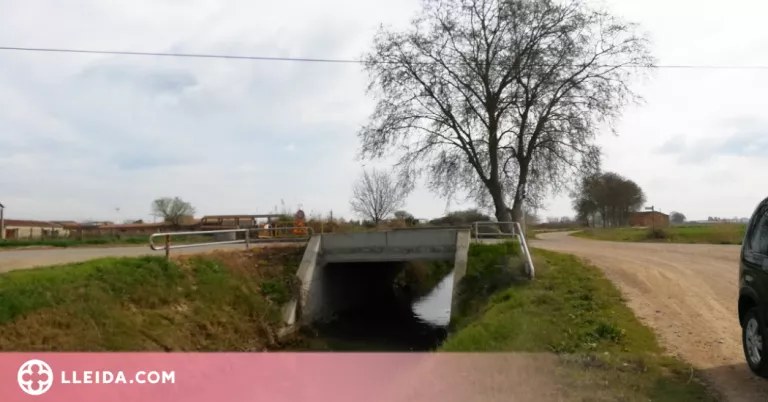 Plantaran un centenar d'arbres a la segona sèquia del canal d'Urgell, a Vallfogona de Balaguer