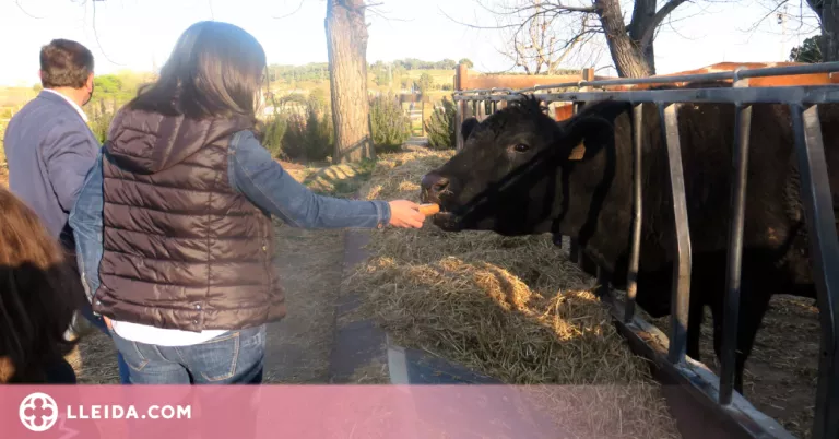 Engranja’t, la proposta per viure una experiència agrocultural a l’Horta