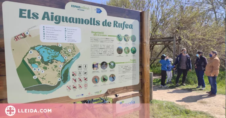 Ecoactivitats aquesta primavera per descobrir la biodiversitat de Lleida