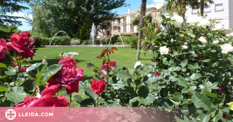 Les Borges anima a engalanar balcons amb plantes i flors naturals
